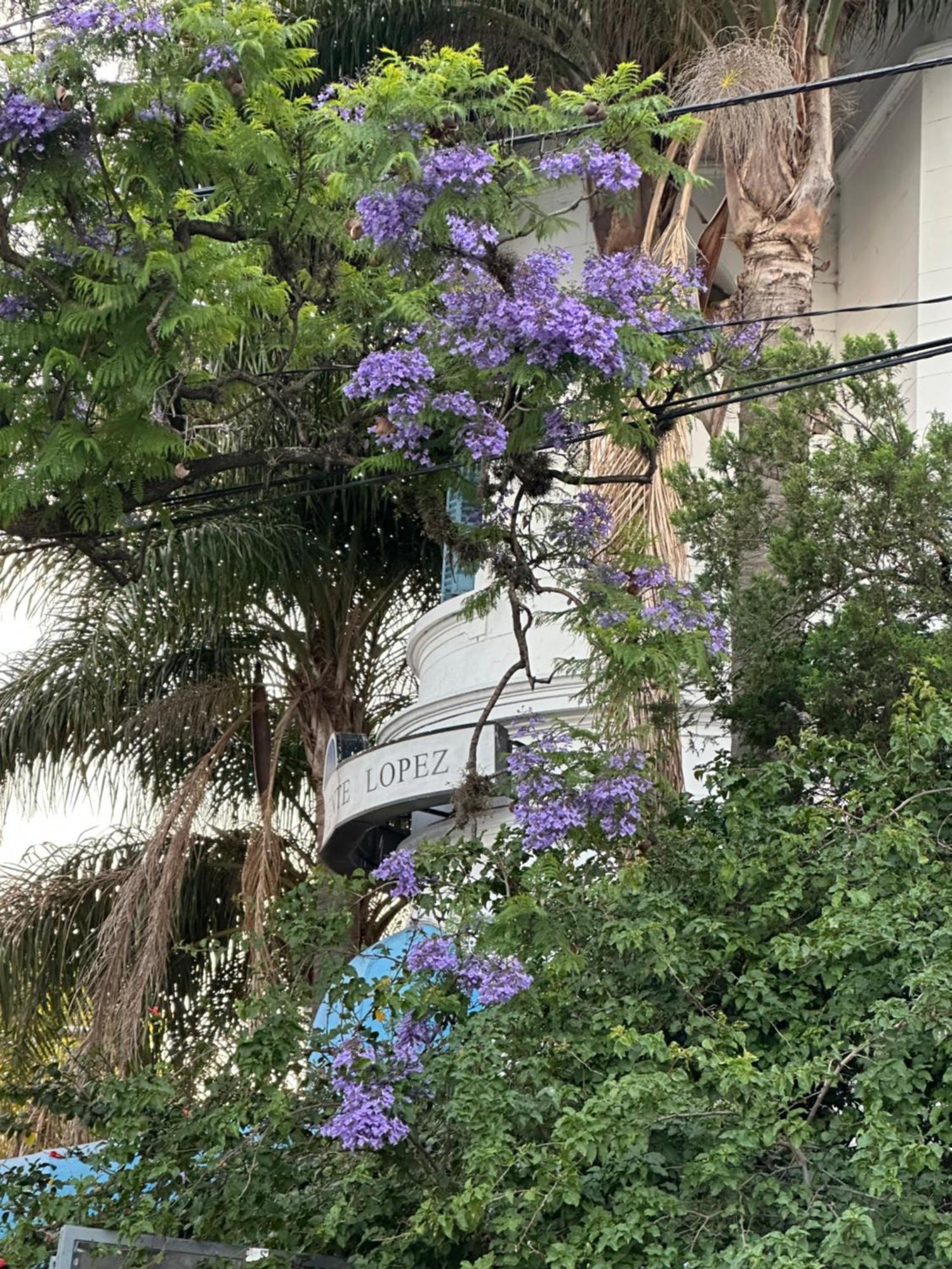 Hotel Vicente López Eksteriør bilde